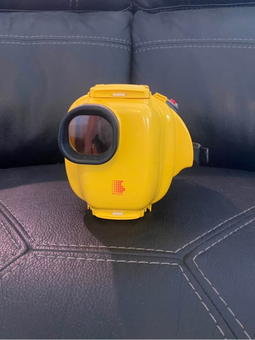 Vintage Sony Handycam Sports Case